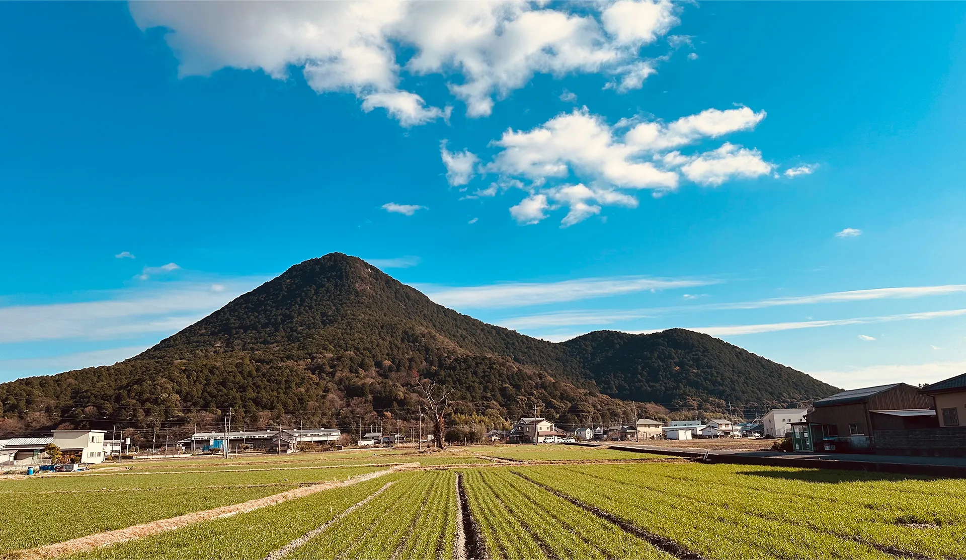 三上山について